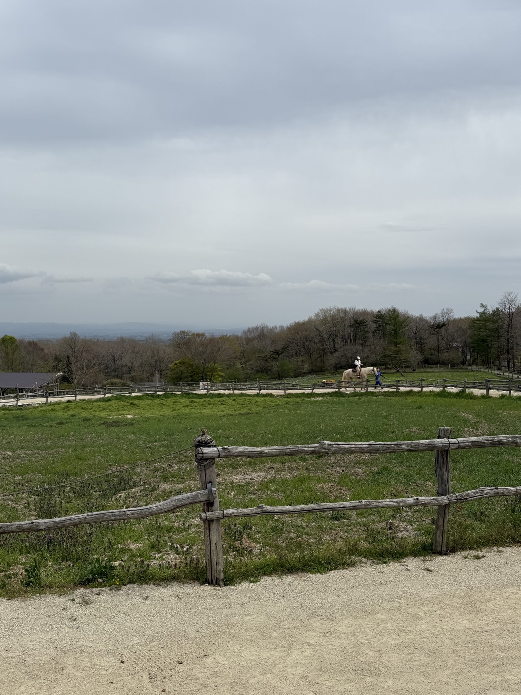 木柵の向こうに広がる南ヶ丘牧場の牧草地と乗馬
